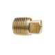 Brass Plug 