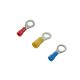 Insulated Ring Terminal