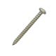 Stainless Steel Pan Head Sheet Metal Screws